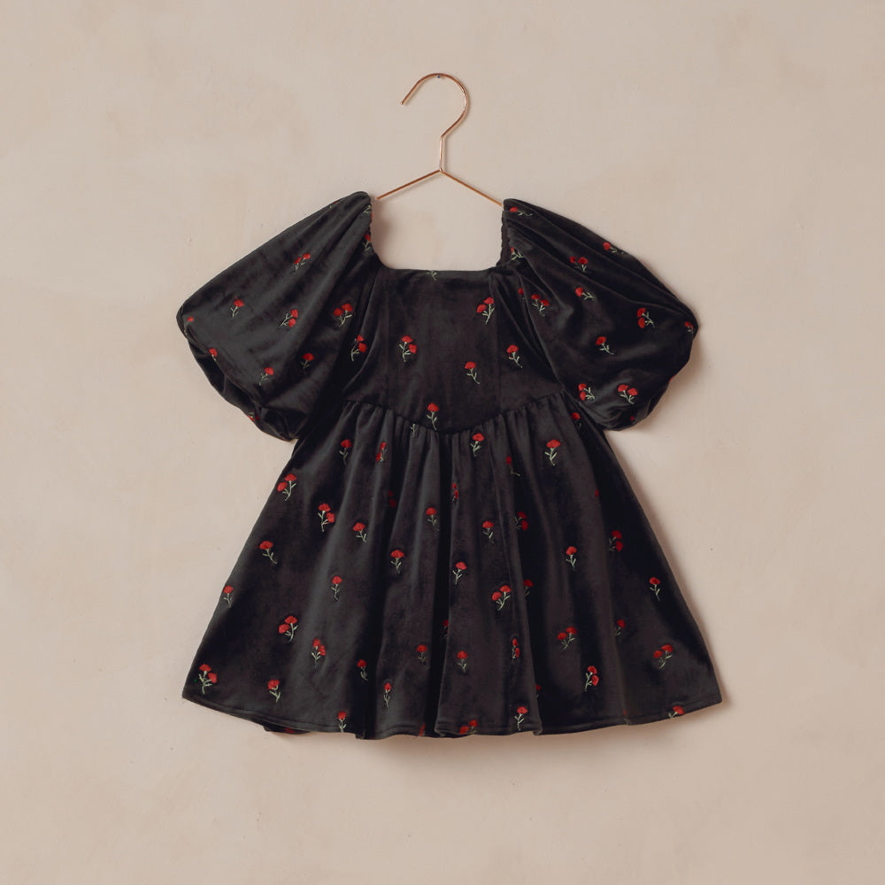 NORALEE Nina Dress Velvet Floral