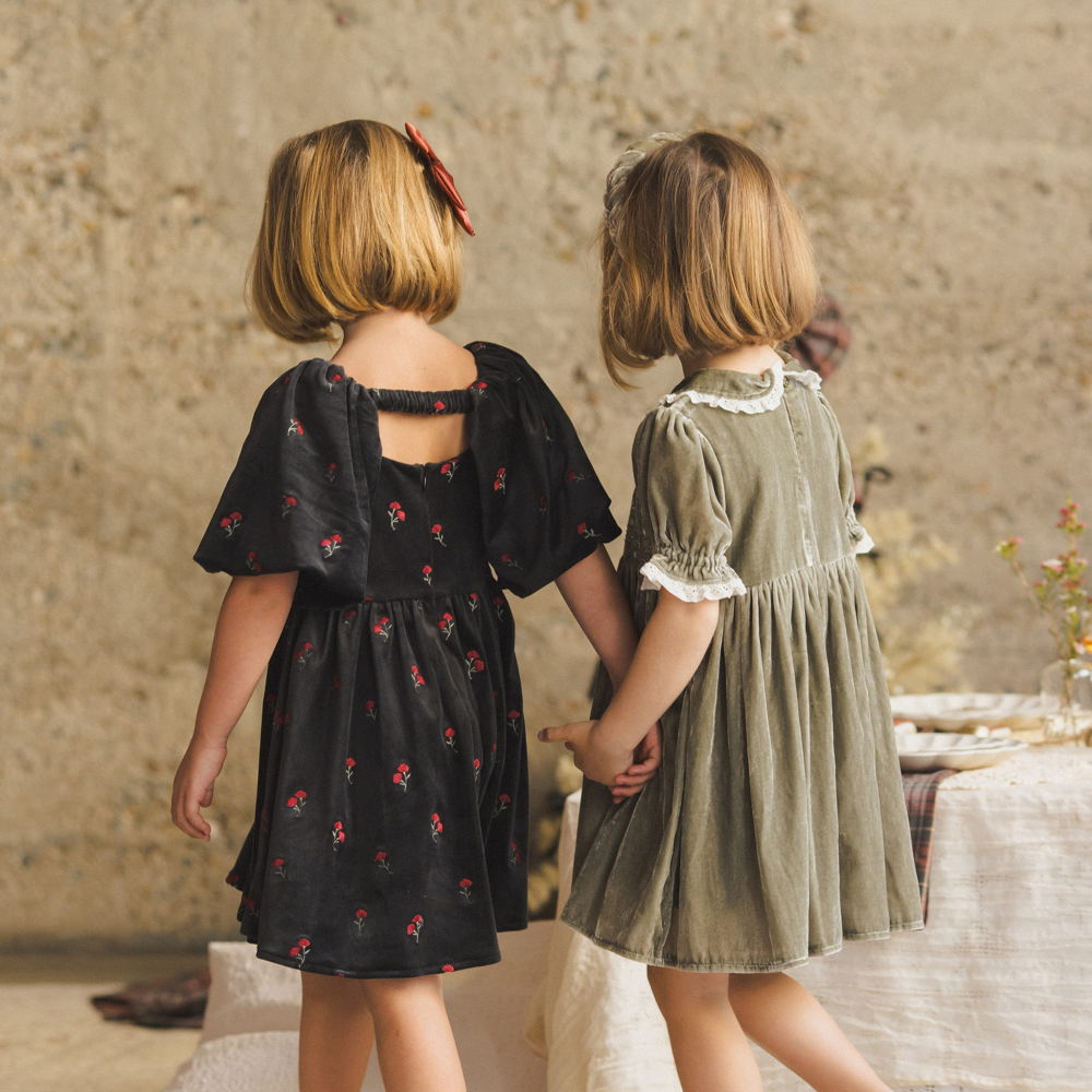 NORALEE Nina Dress Velvet Floral