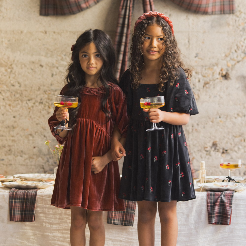 NORALEE Nina Dress Velvet Floral