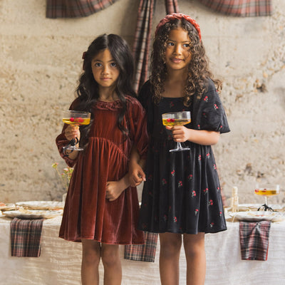 NORALEE Nina Dress Velvet Floral