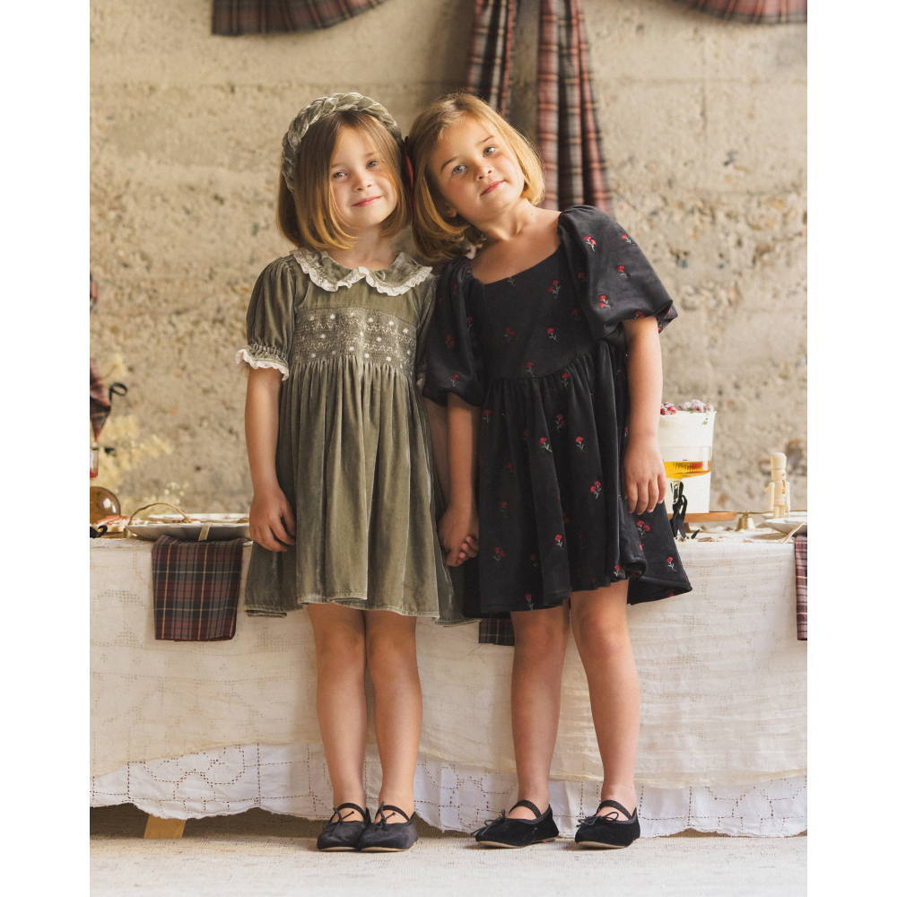 NORALEE Nina Dress Velvet Floral