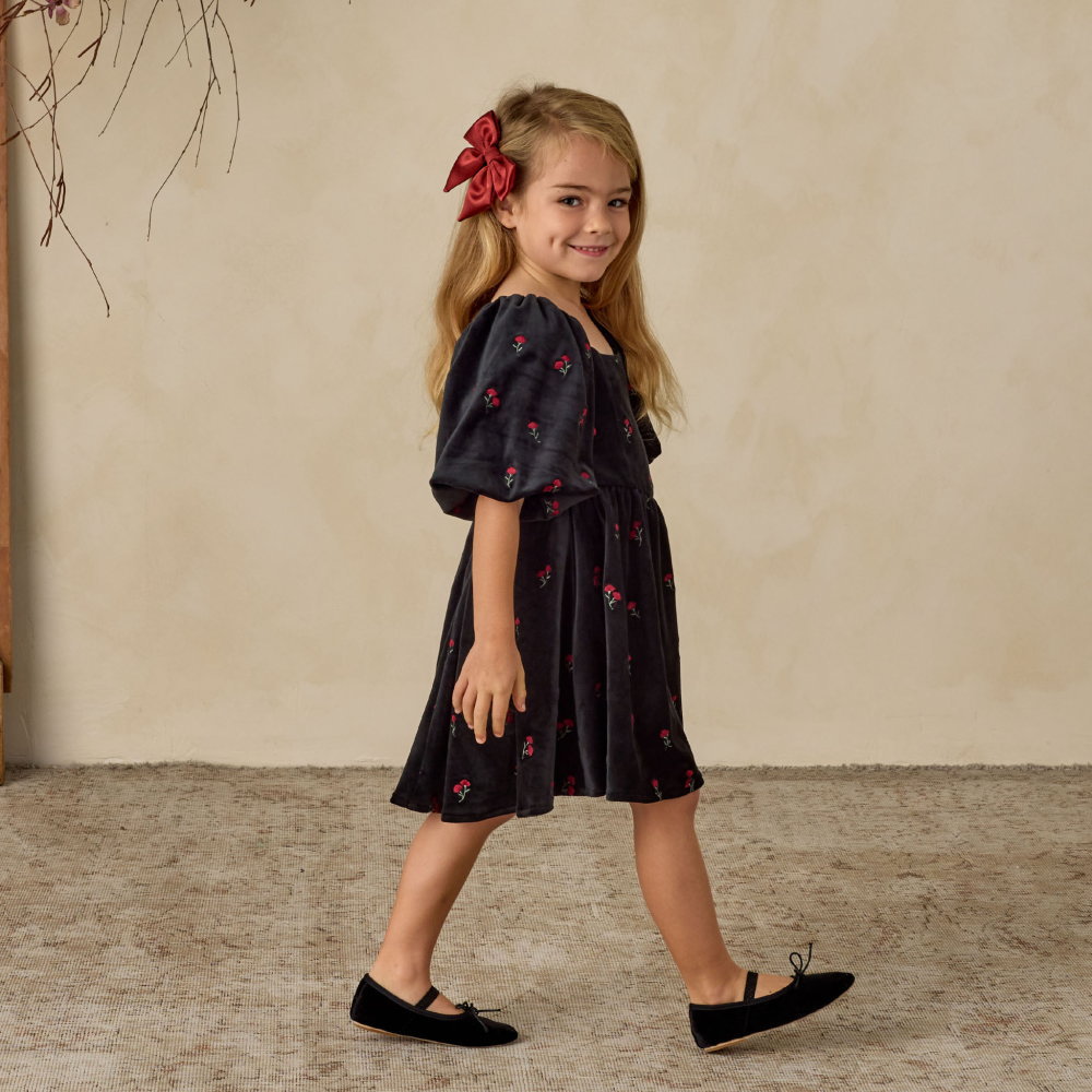 NORALEE Nina Dress Velvet Floral