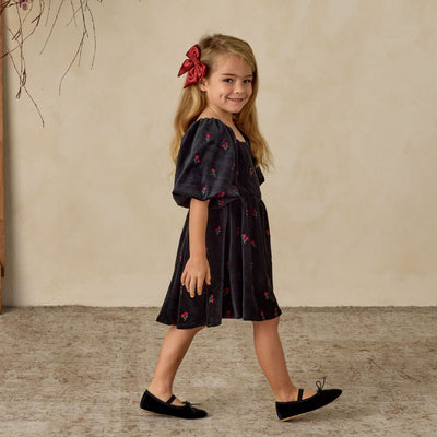 NORALEE Nina Dress Velvet Floral