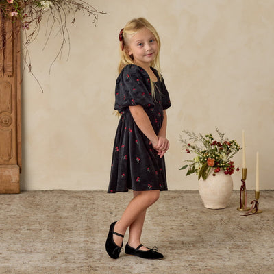 NORALEE Nina Dress Velvet Floral