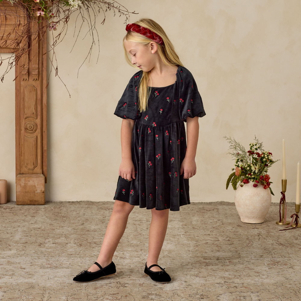 NORALEE Nina Dress Velvet Floral