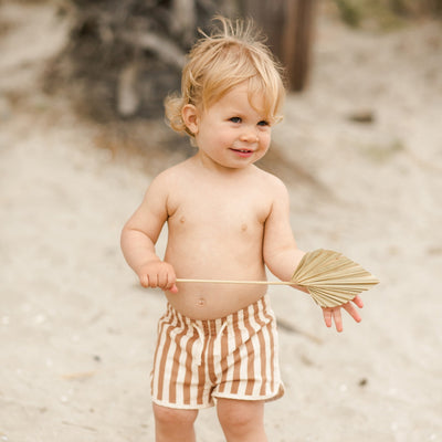 Rylee & Cru Swim Trunk Clay Stripe